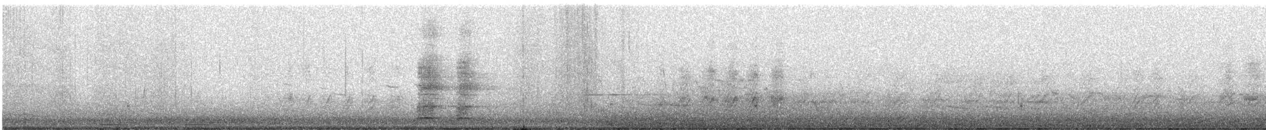 Ring-necked Pheasant - ML591658071