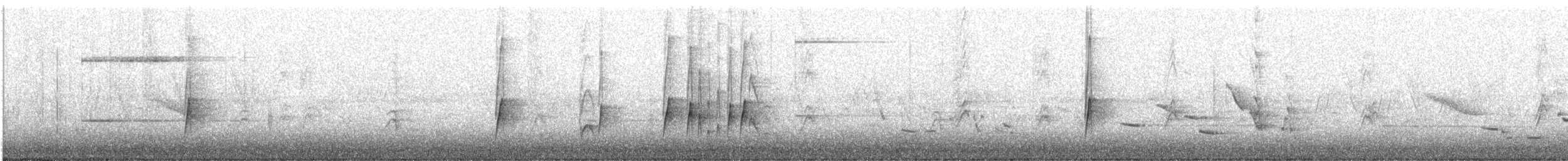 Western Kingbird - ML591658981