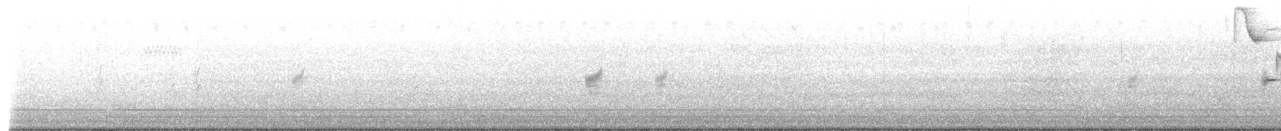 Eastern Meadowlark (Eastern) - ML591677521