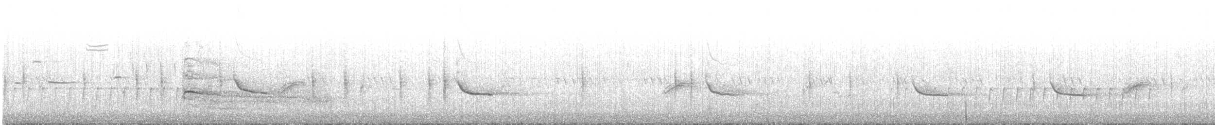 káně rudochvostá (ssp. borealis) - ML591690731