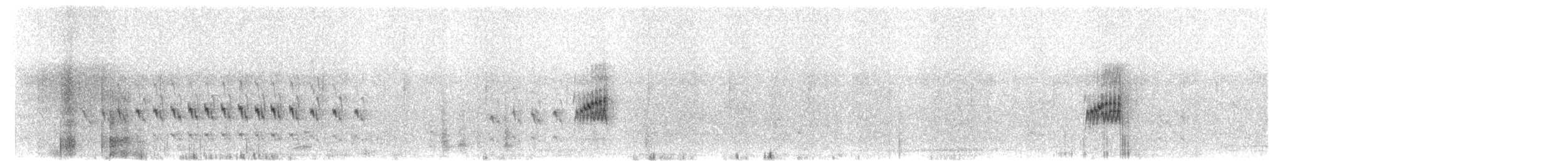 Least Sandpiper - ML591705921