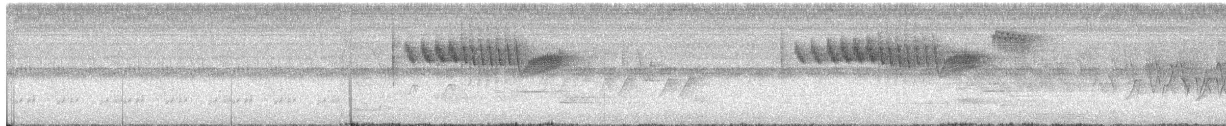 "Желтокрылая x Голубокрылая червеедка (гибрид, Brewster's)" - ML591707471