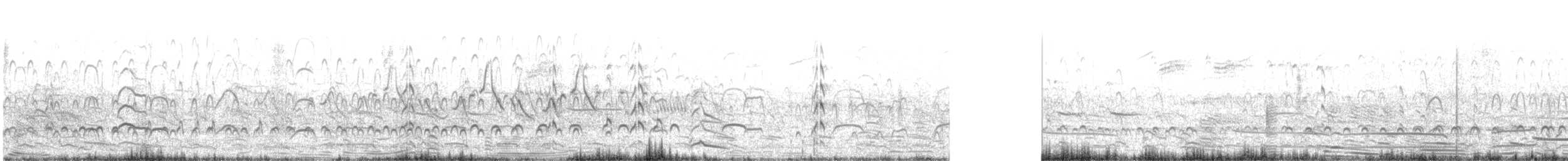 Huîtrier d'Amérique - ML591725441