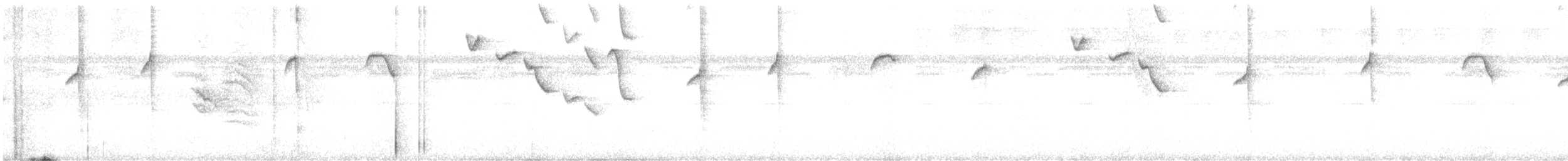Stripe-throated Hermit - ML591725601