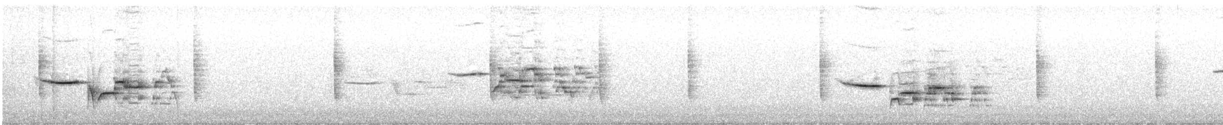 Дрізд-короткодзьоб плямистоволий - ML591725661