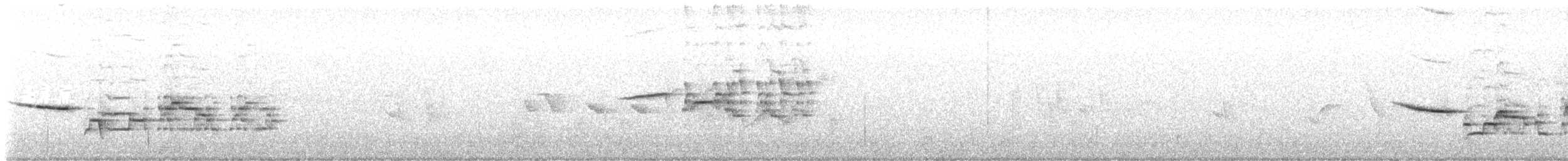 Дрізд-короткодзьоб плямистоволий - ML591725671