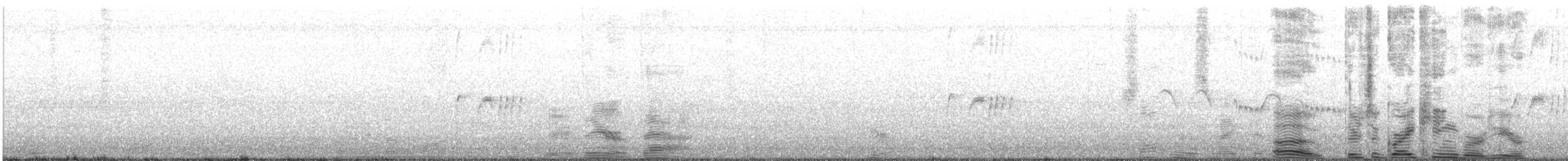 Тиран сірий - ML591728151