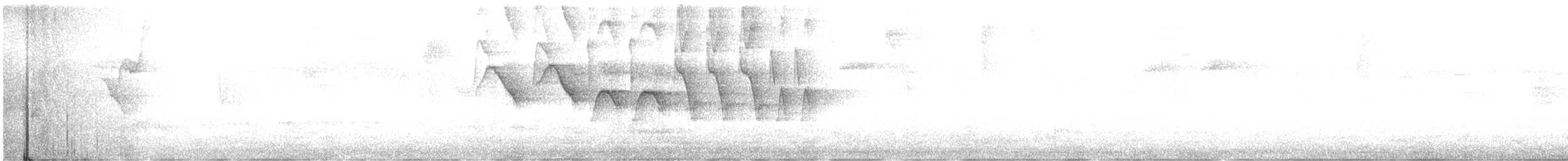 Dreifarben-Buschammer - ML591732911