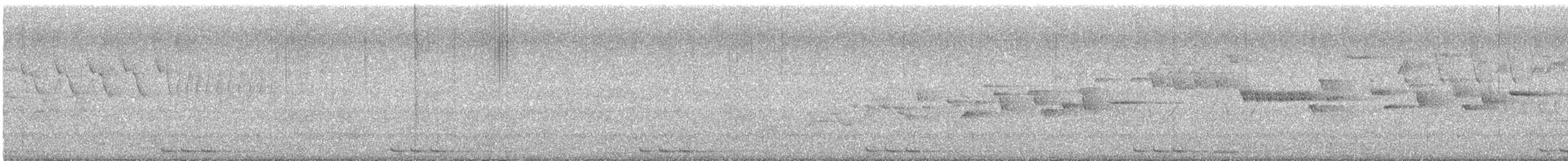 קוקיה שחורת-מקור - ML591744051