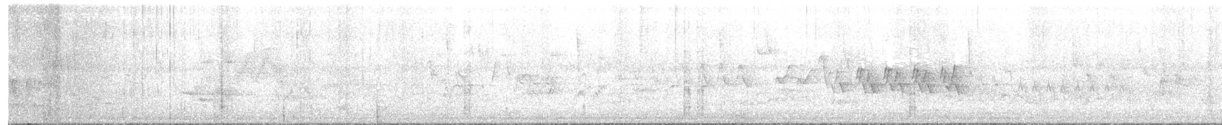 MacGillivray's Warbler - ML59174721