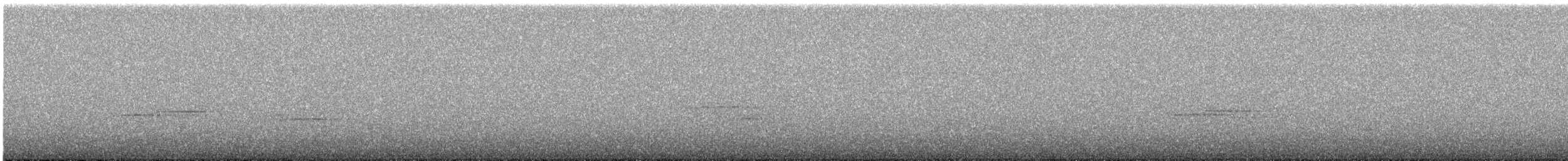 Дрізд-короткодзьоб сірий - ML591750931