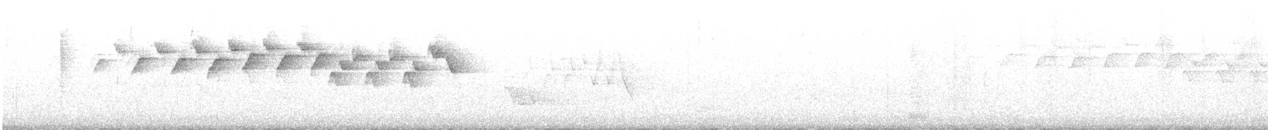 lesňáček černobílý - ML591763061