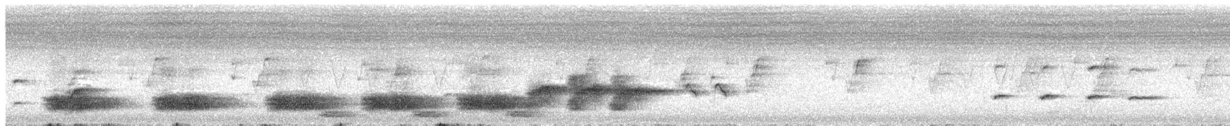 Kashmir Nutcracker - ML591776151