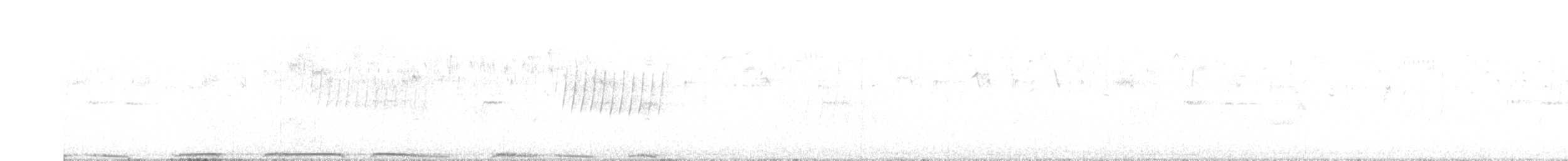 יונת ענק - ML591800571