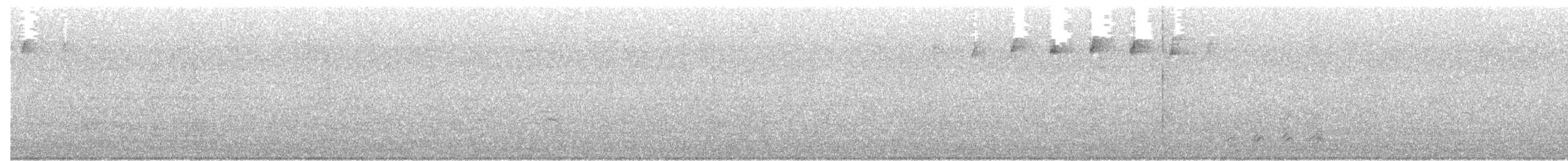 Paruline rayée - ML59180101