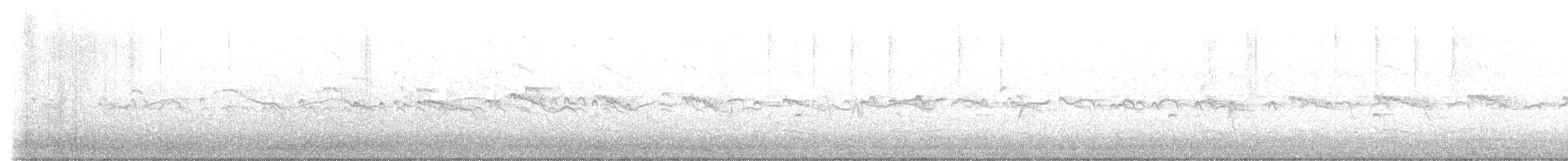 Keilschwanz-Regenpfeifer - ML591802361