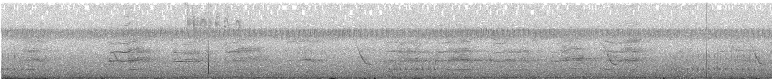 sokol stěhovavý (ssp. peregrinator) - ML591805801