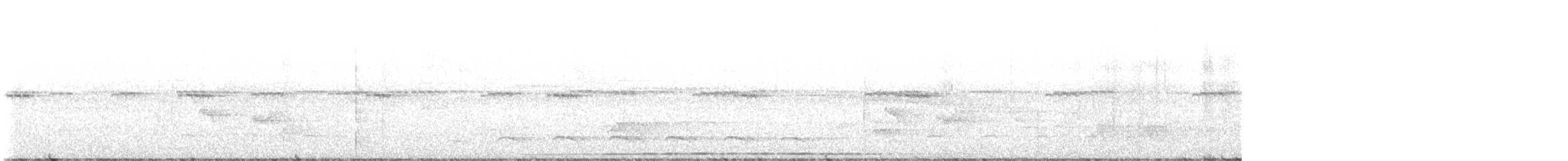 Weißbart-Ameisenwürger - ML591844351