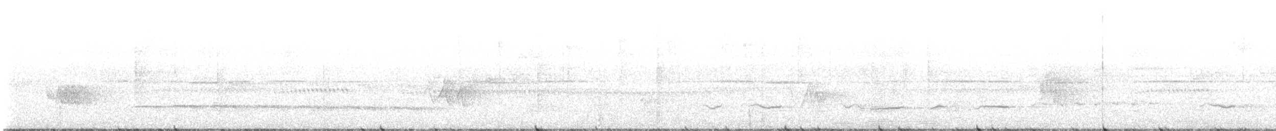Синебрюхий попугай - ML591845781