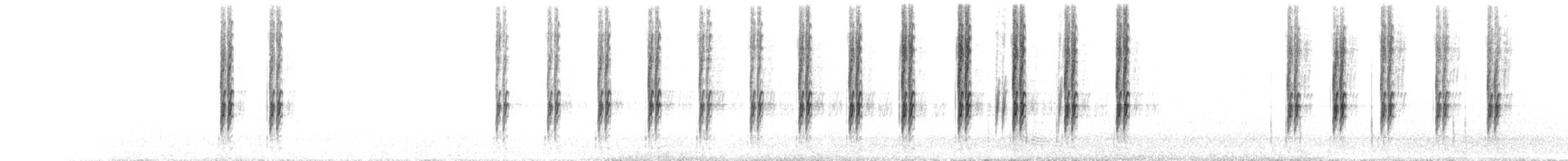 turkestanløpekråke - ML591877821