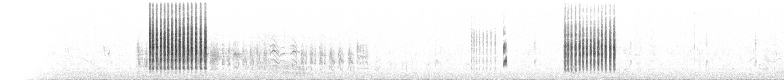 Menetries's Warbler - ML591880731