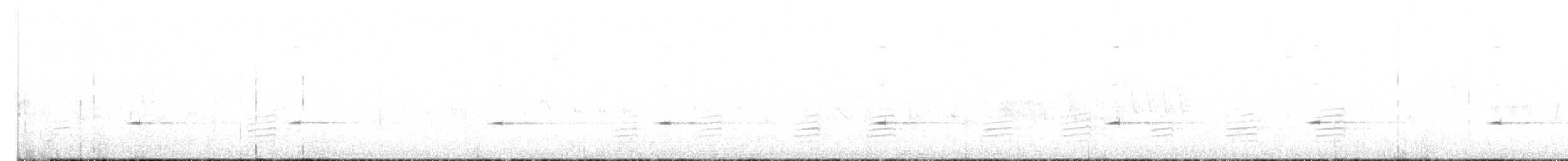 gråsolitærtrost - ML591883491