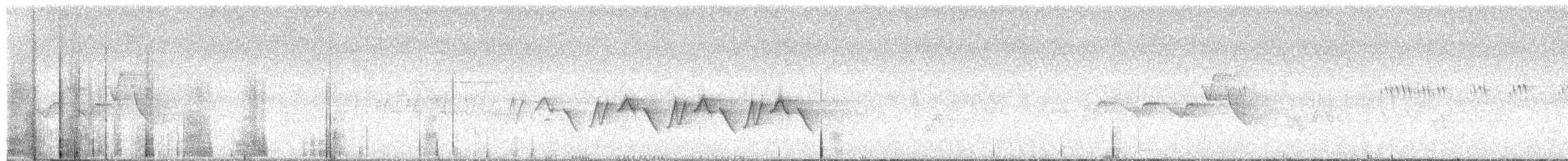 סבכון שחור-ראש - ML591884831
