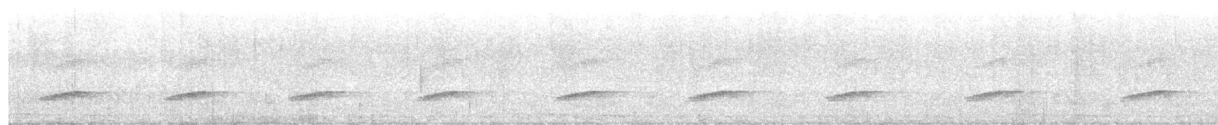 Little Spotted Kiwi - ML591901151