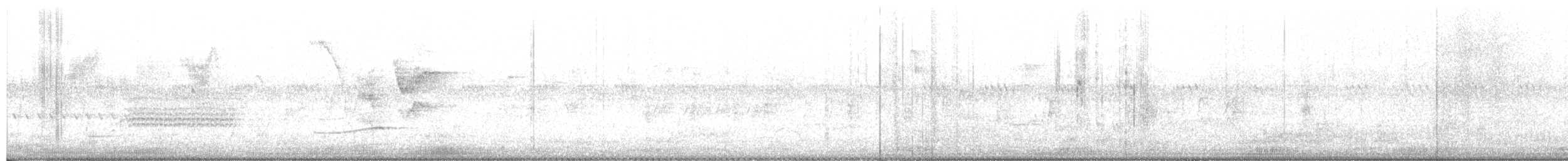 Каролинский погоныш - ML591913211