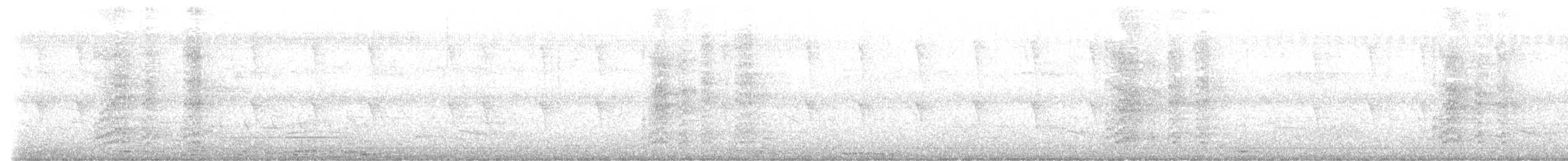 Гіла чорновола [група formicivorus] - ML591914491