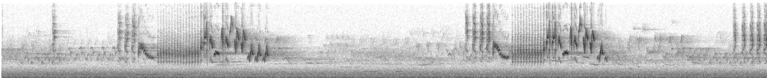 Northern House Wren - ML591927311