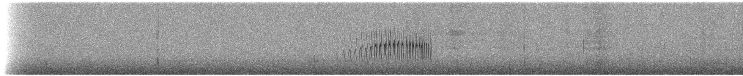 Strichelrückencanastero [wyatti-Gruppe] - ML591932551