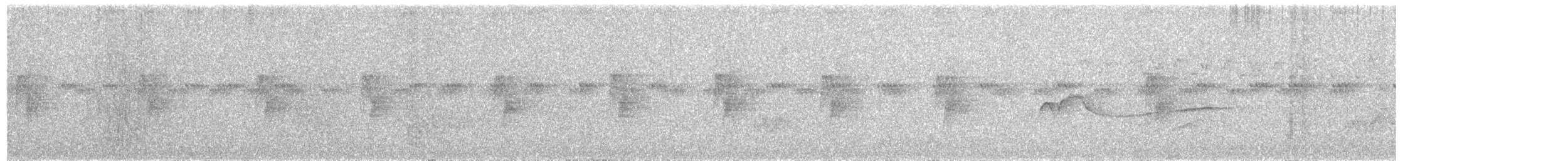 チビメジロハエトリ - ML591935521