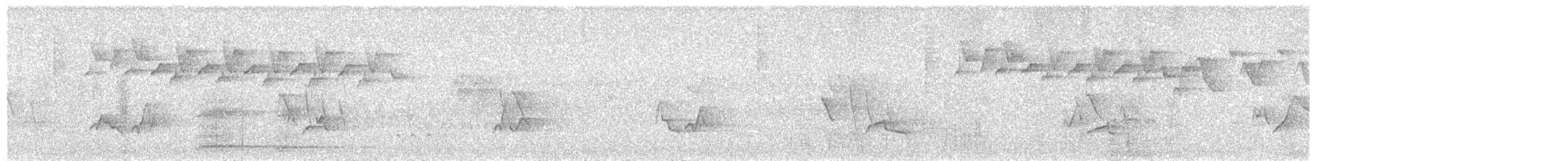 シロクロアメリカムシクイ - ML591943511