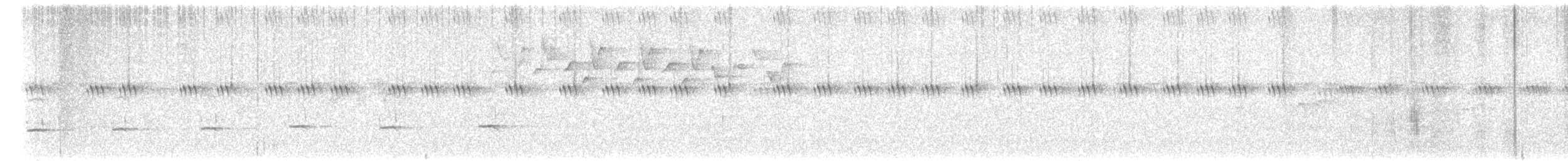 シロクロアメリカムシクイ - ML591943521