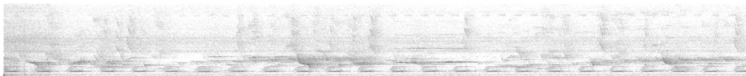 Новобританская иглоногая сова - ML591948871