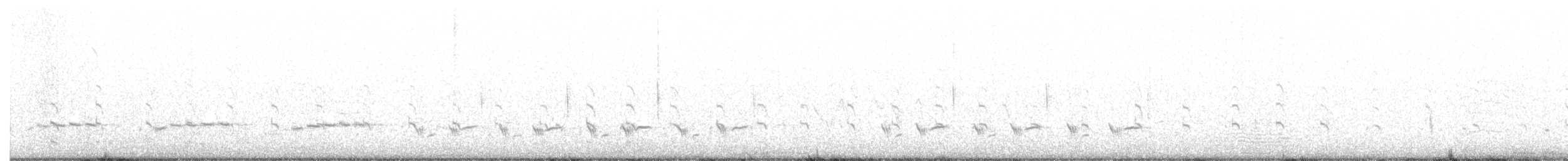 Коловодник американський (підвид semipalmata) - ML591957871