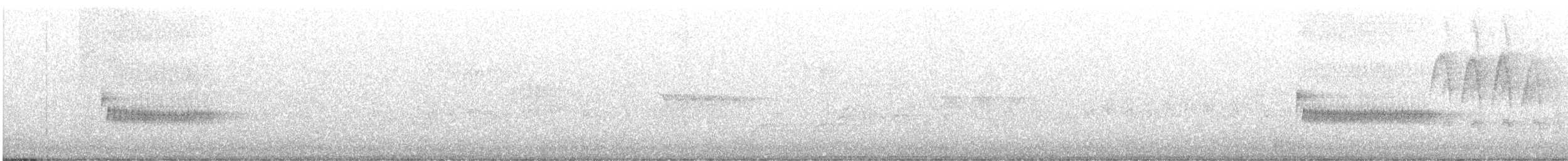 Тауї плямистий - ML591959281