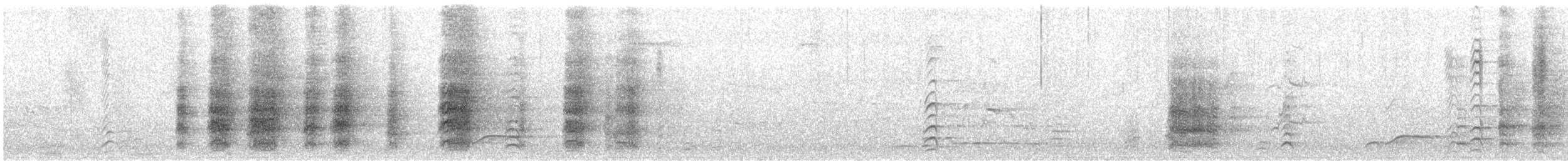 kakadu ostrozobý - ML591961481