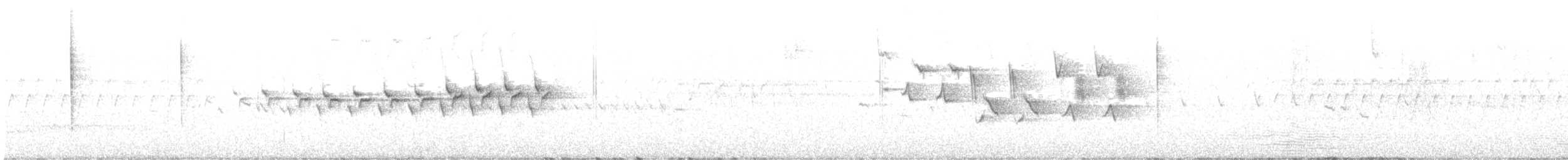 Пісняр-лісовик жовтогузий (підвид coronata) - ML591966171