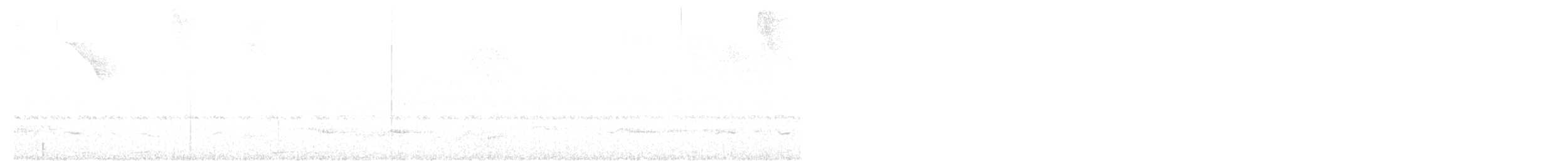 Синебрюхий попугай - ML591969011