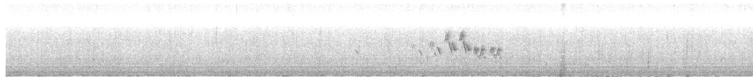 MacGillivray's Warbler - ML591971411