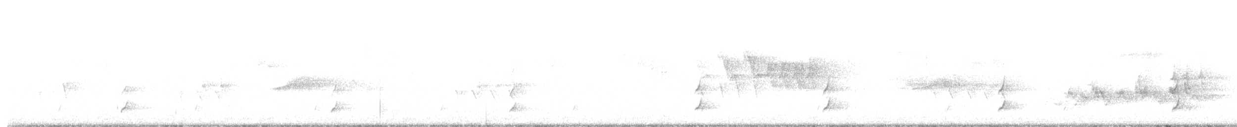 オリーブチャツグミ（ustulatus グループ） - ML591986971