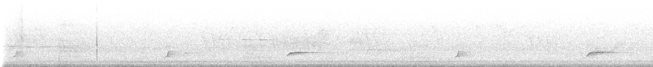 Дрізд-короткодзьоб Cвенсона [група ustulatus] - ML591999741
