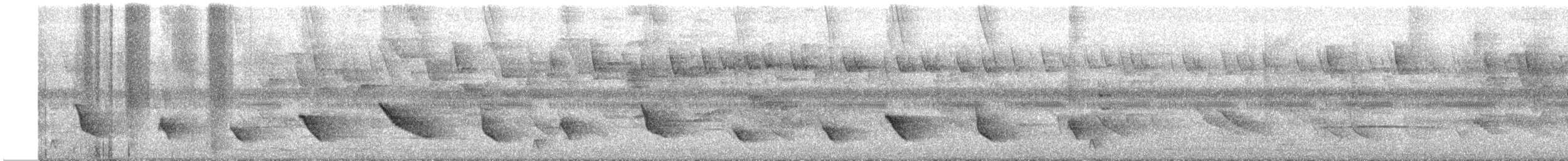 Зернолуск смугастоволий - ML592028741