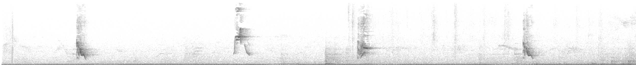 Жемчужноглазый пересмешник - ML592028981