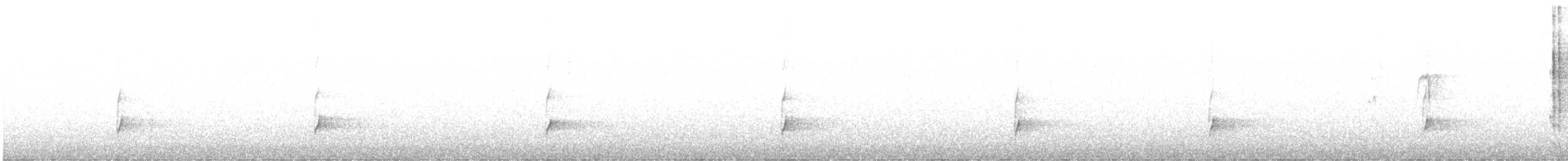 Дрізд-короткодзьоб Cвенсона - ML592031291