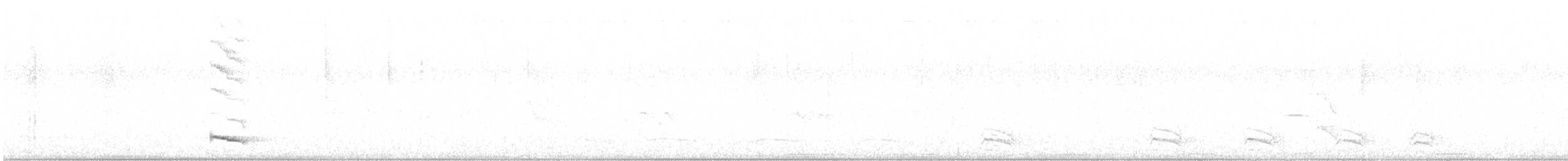 Lance-tailed Manakin - ML592048321