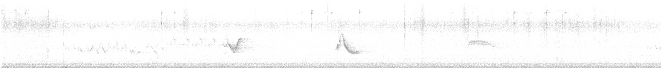 Cassin's Vireo - ML592051781