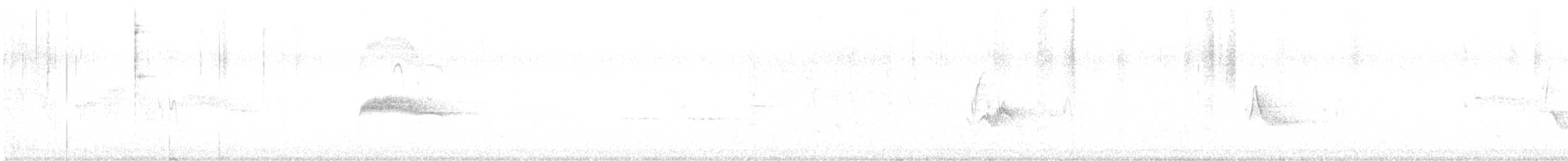 Cassin's Vireo - ML592051941